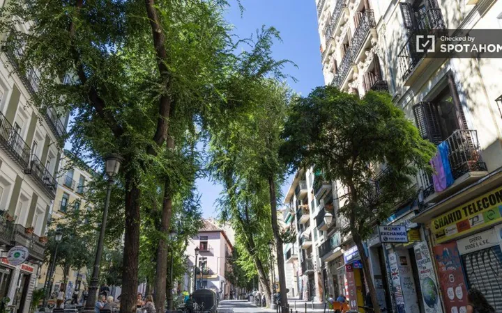 Piso en Calle de Lavapiés, Lavapiés-Embajadores - Foto 18