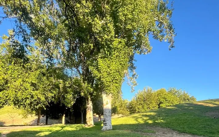 Piso en Calle de López Grass, 56, Numancia - Foto 7