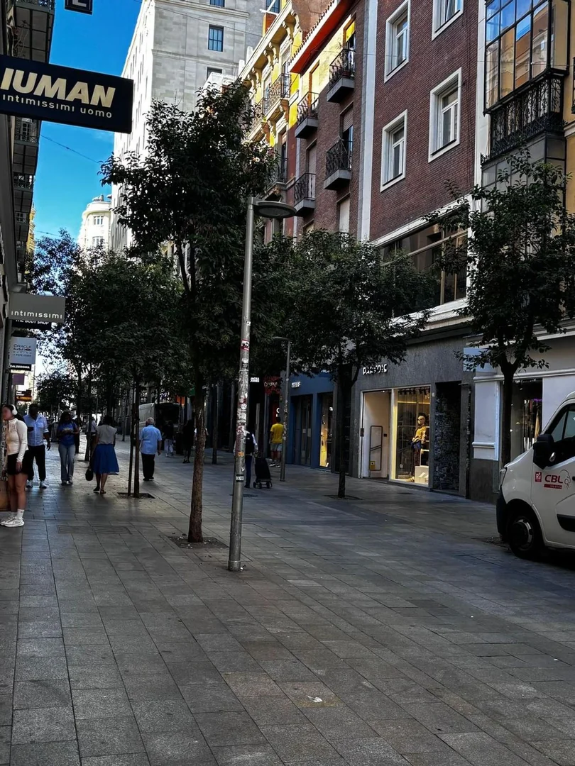 Piso en Calle de las Infantas, 1, Chueca-Justicia - Foto 10