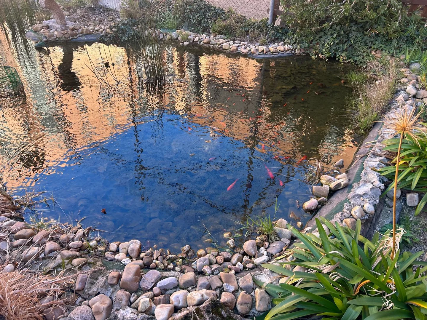 Piso en calle de Malmoe, 77 - Foto 26