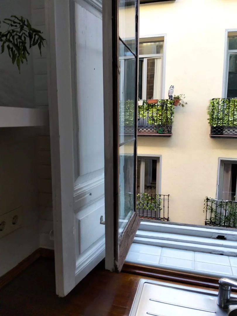 Estudio en Calle de la Cava Baja, Palacio - Foto 4
