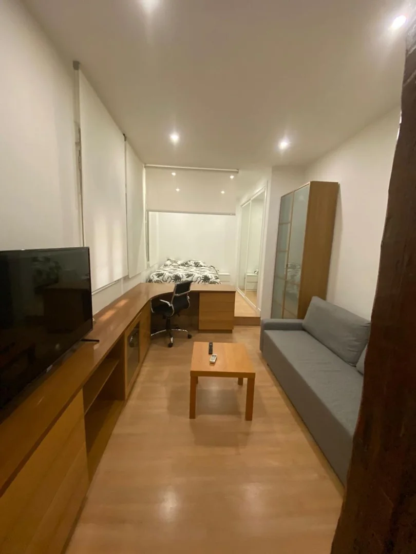 Estudio en calle Velázquez, 99