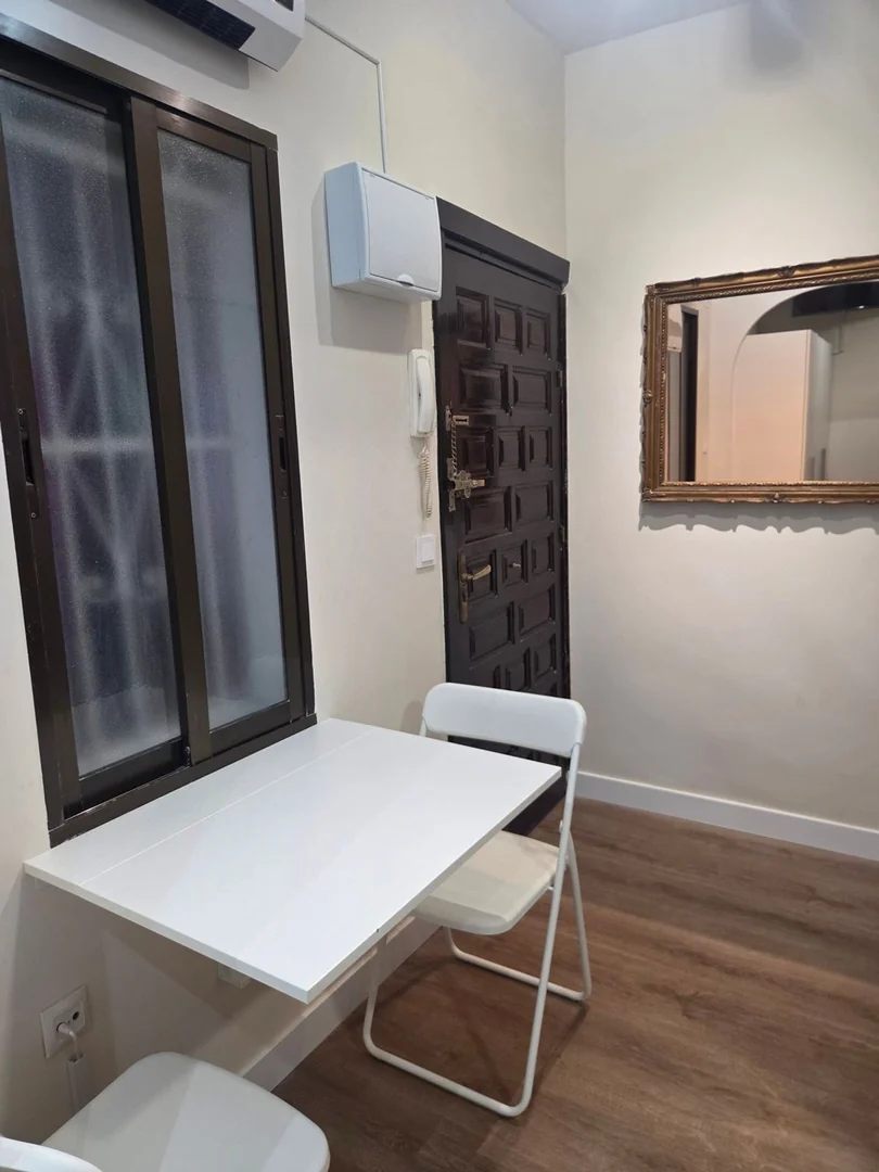 Estudio en Calle de Santa Engracia, 49, Trafalgar - Foto 12