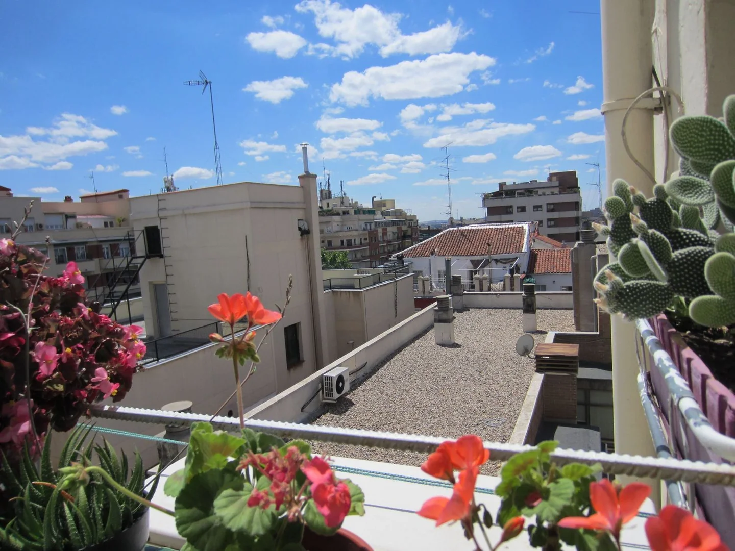 Piso en Paseo de las Delicias, 36, Palos de la Frontera - Foto 6