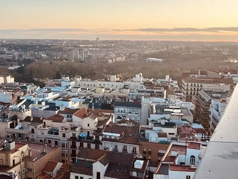 Piso en  Calle de Luisa Fernanda 6 - Foto 19