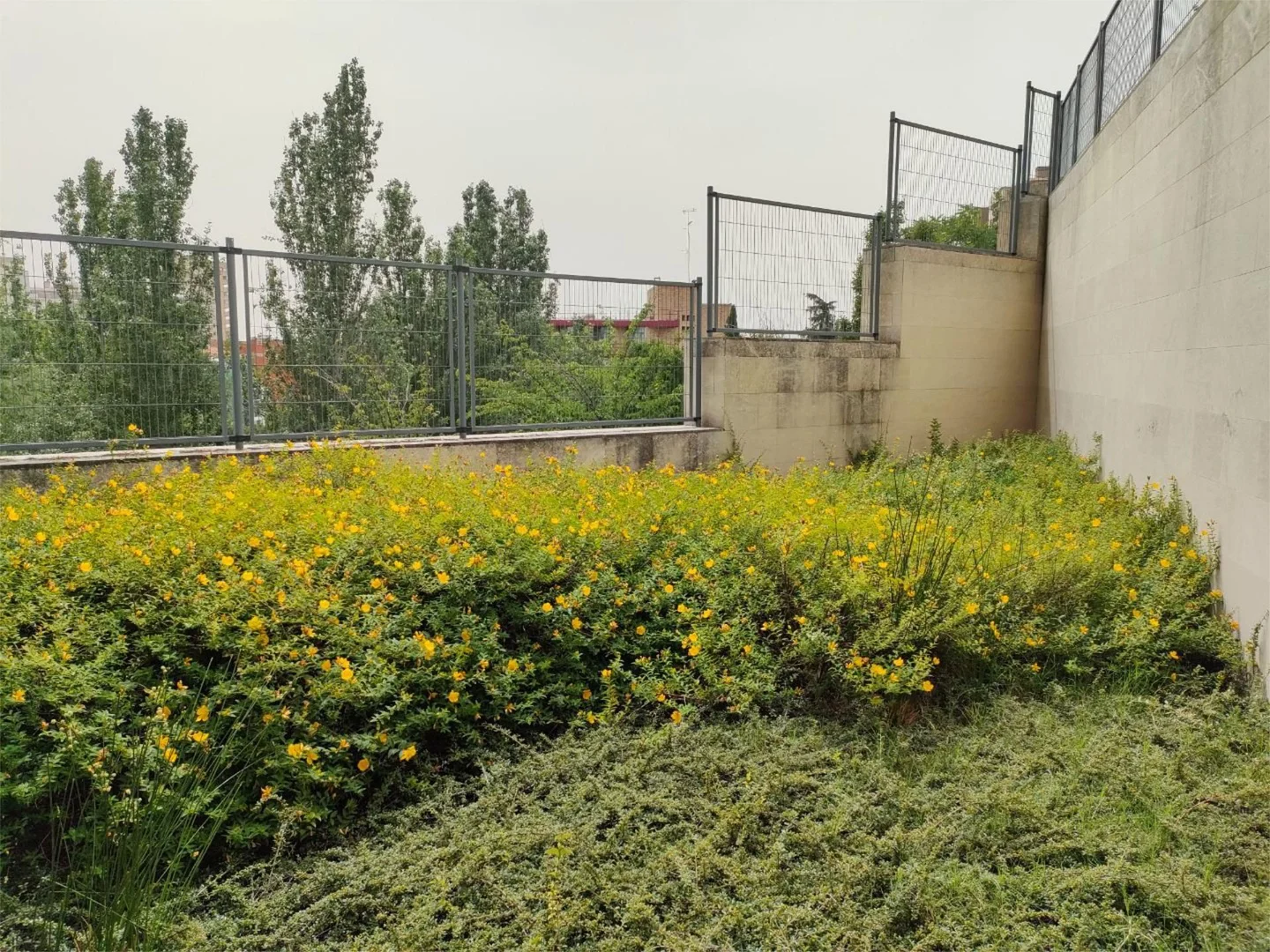 Piso en  Paseo de Juan XXIII 23 - Foto 25