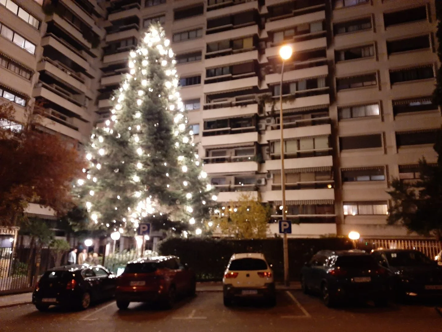 Piso en calle de Julio Palacios, 24 - Foto 38