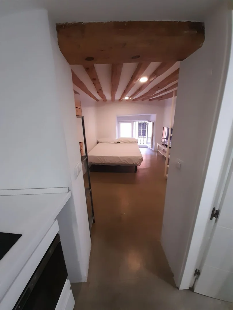 Estudio en Calle Salitre, 31, Lavapiés-Embajadores - Foto 3