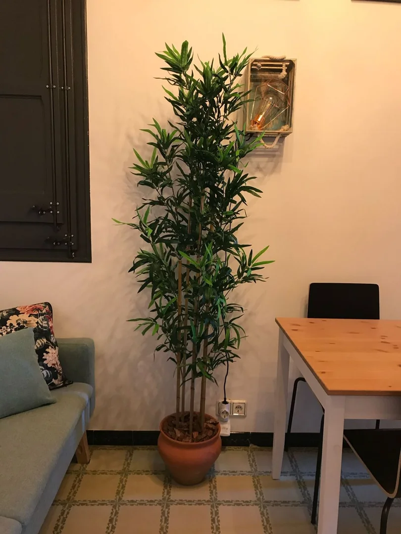 Piso en Calle de Ricart, 26, El Poble Sec - Parc de Montjuïc - Foto 22