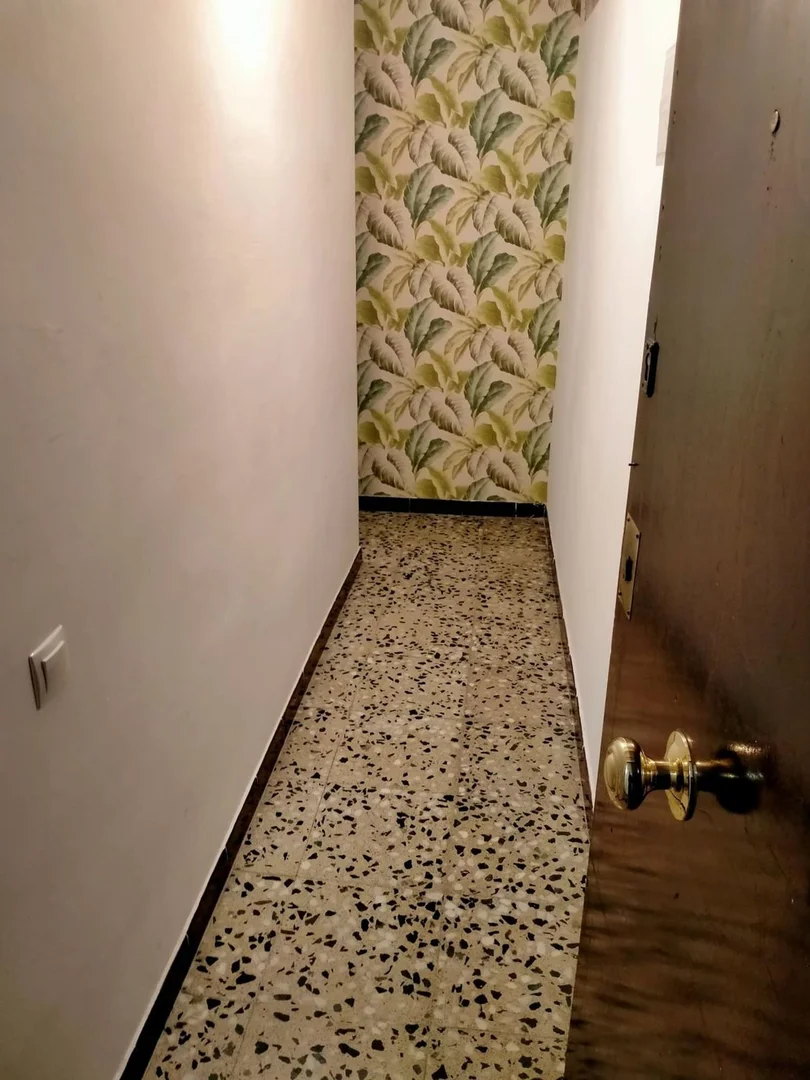 Estudio en calle del Cardenal Casañas, 5 - Foto 28