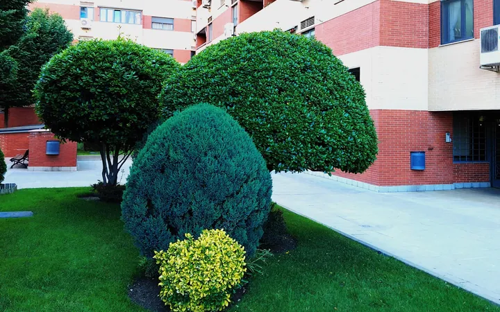 Piso Ideal para Inversores, - Foto 17