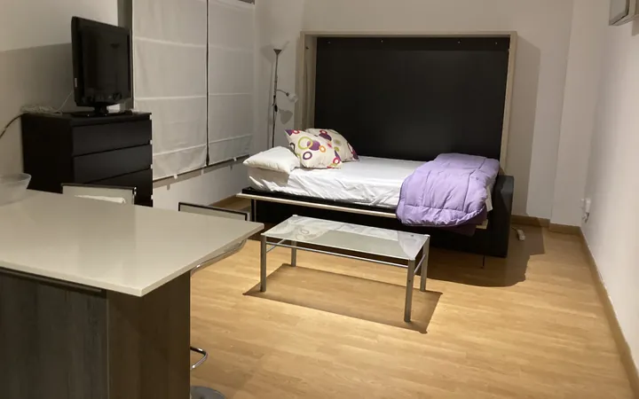Alquiler de Termporada Estudio con Garaje y Trastero - Foto 4