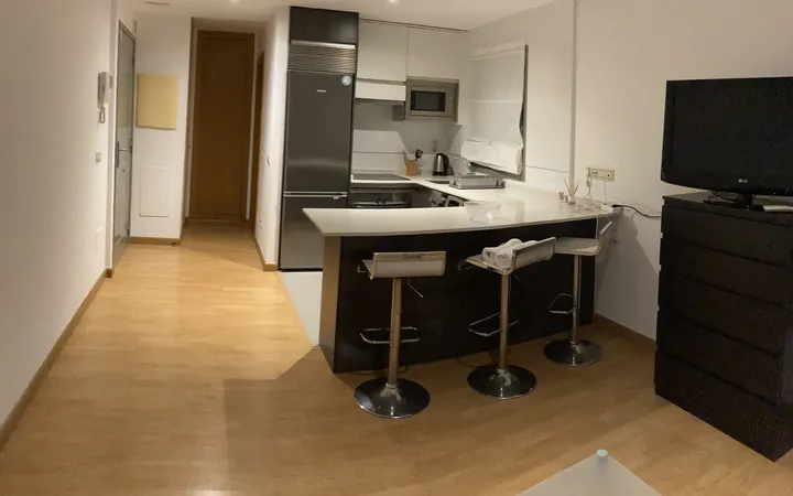 Alquiler de Termporada Estudio con Garaje y Trastero - Foto 6