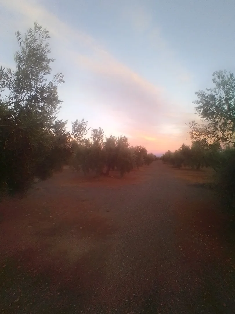 Finca en sierra magina  - Foto 7