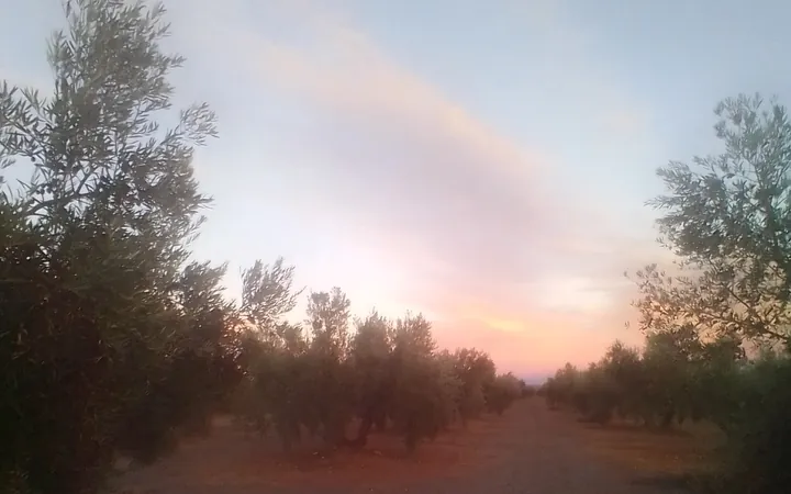 Finca en sierra magina  - Foto 7