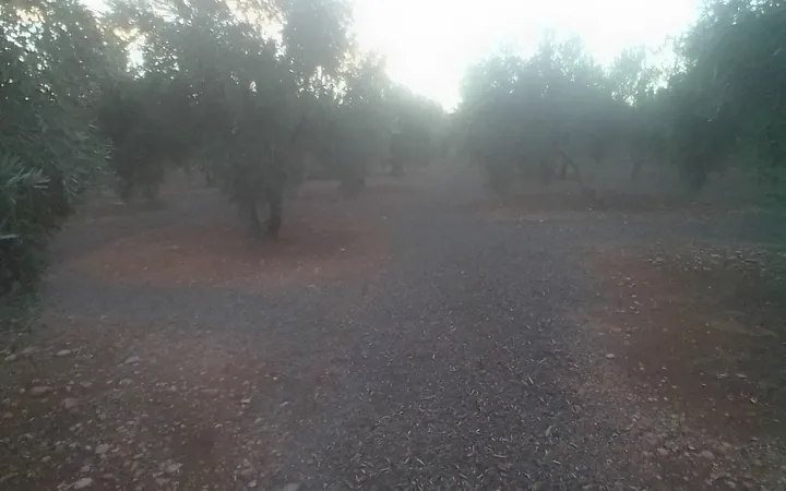 Finca en sierra magina  - Foto 6