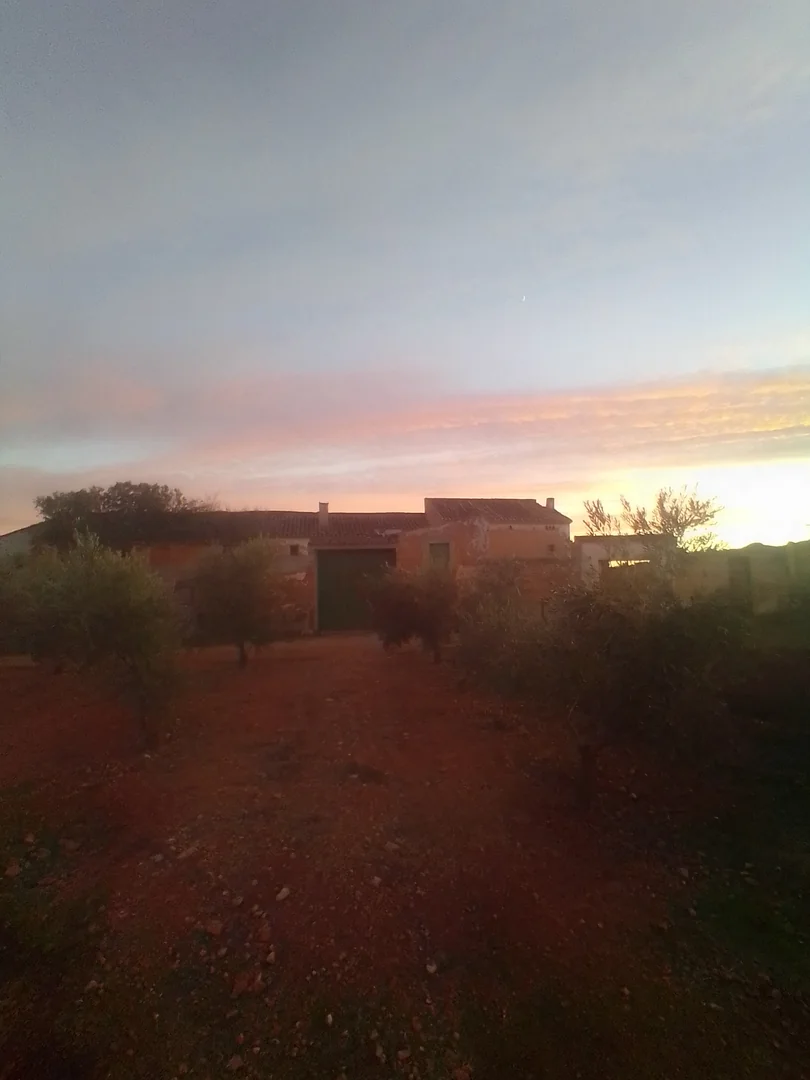 Finca en sierra magina  - Foto 3