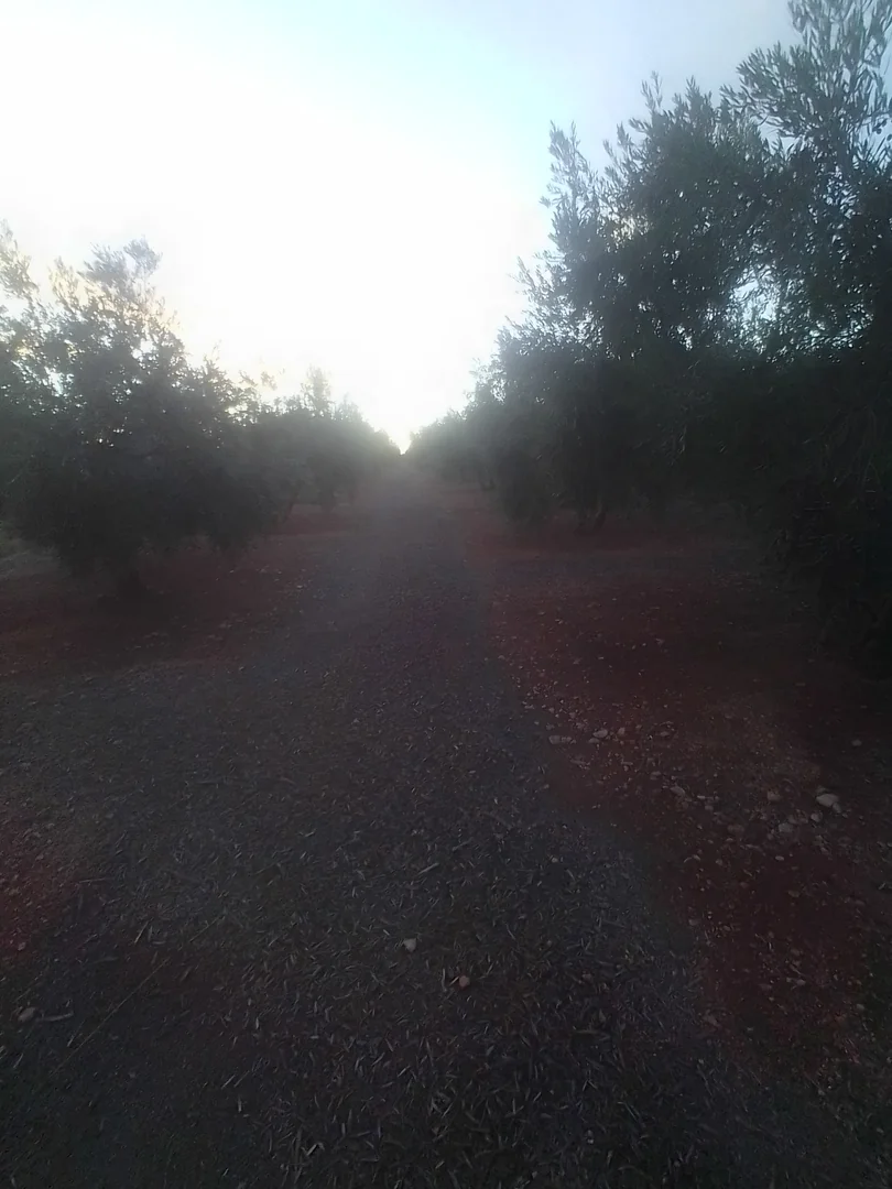Finca en sierra magina  - Foto 4