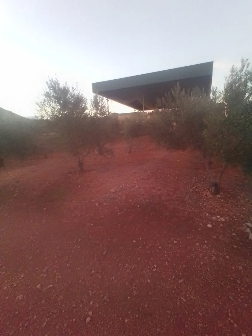 Finca en sierra magina  - Foto 2