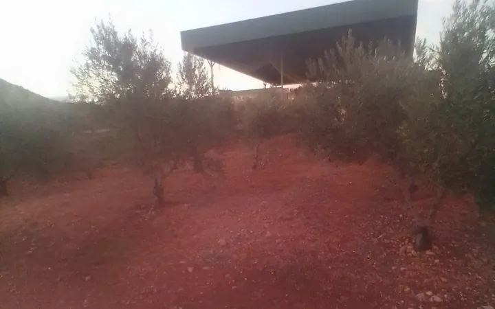 Finca en sierra magina  - Foto 2