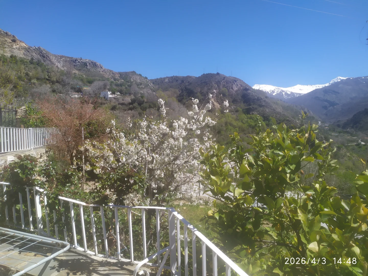 Parcela de 1200 M2, Casa de 140m2. - Foto 6
