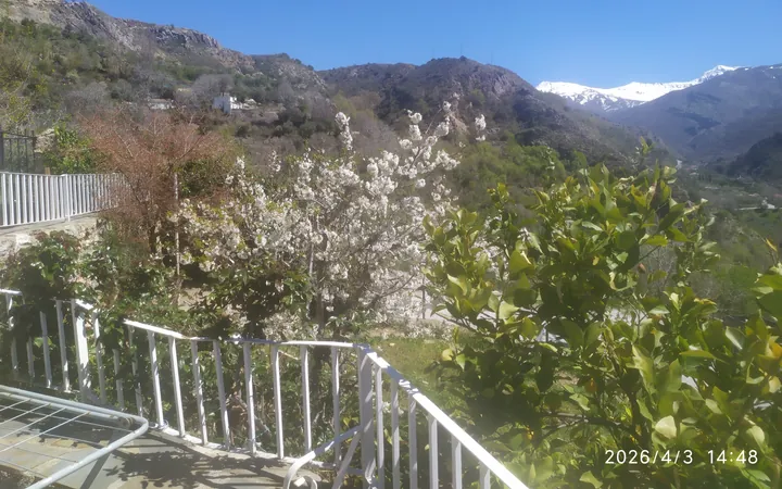Parcela de 1200 M2, Casa de 140m2. - Foto 6