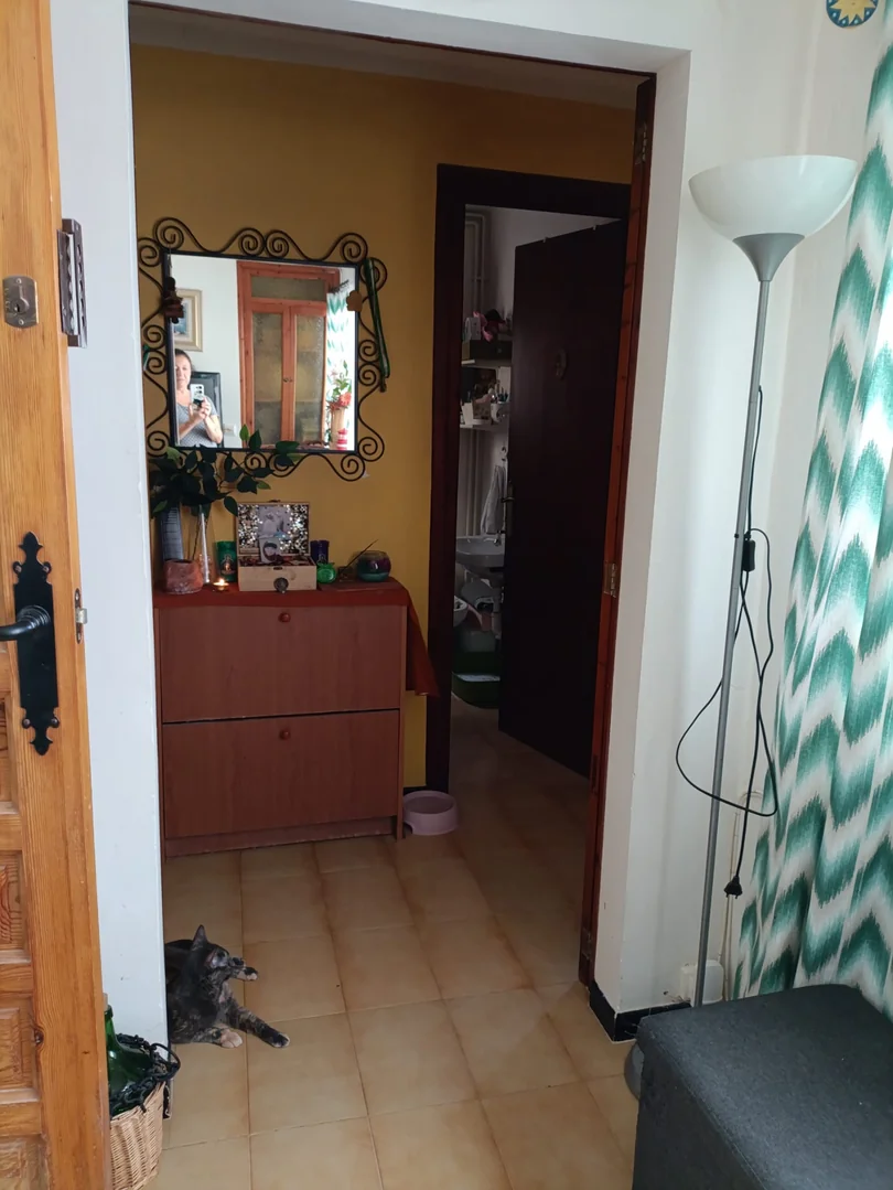 Apartamento centro de Palma - Foto 6