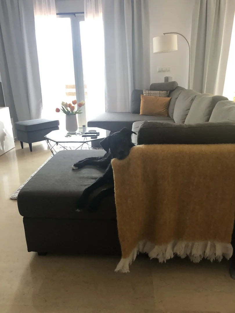 Casa adosada Nagüeles , Marbella - Foto 13
