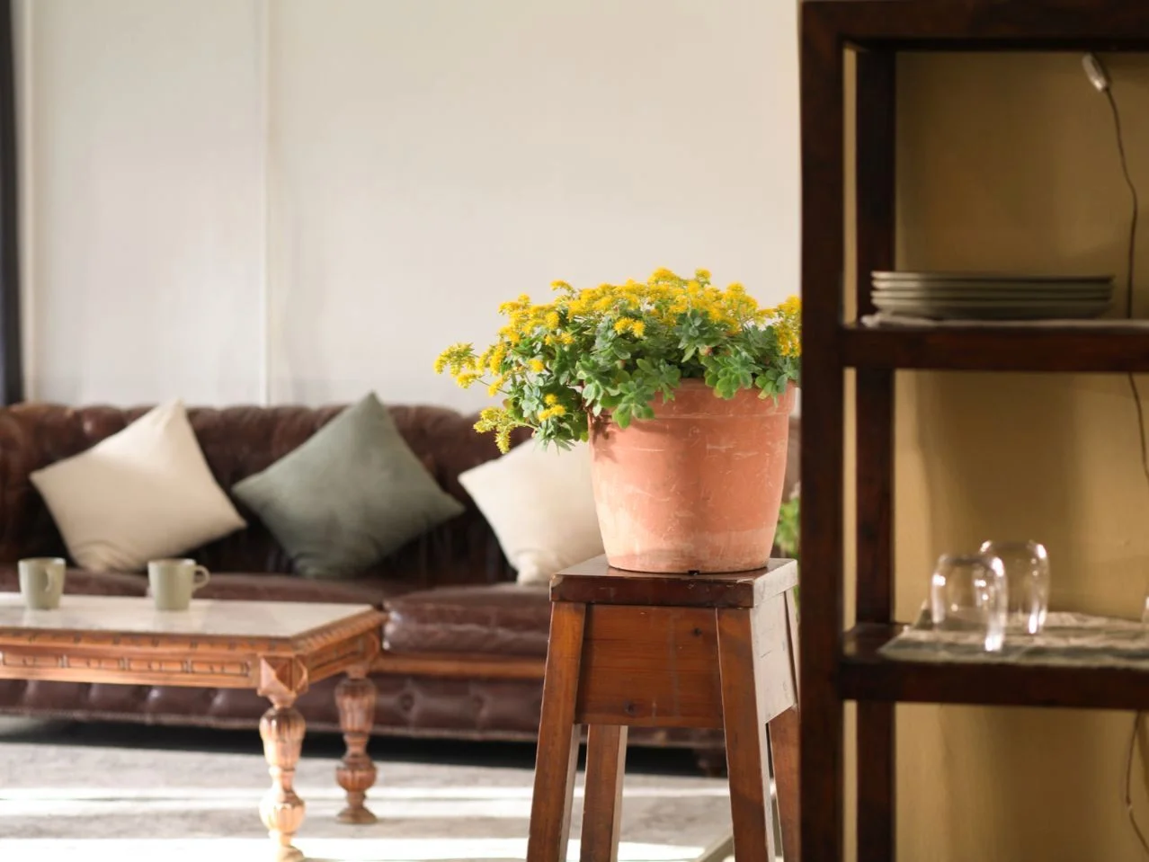 Local comercial en  Carrer de Mir Geribert 10 - Foto 13