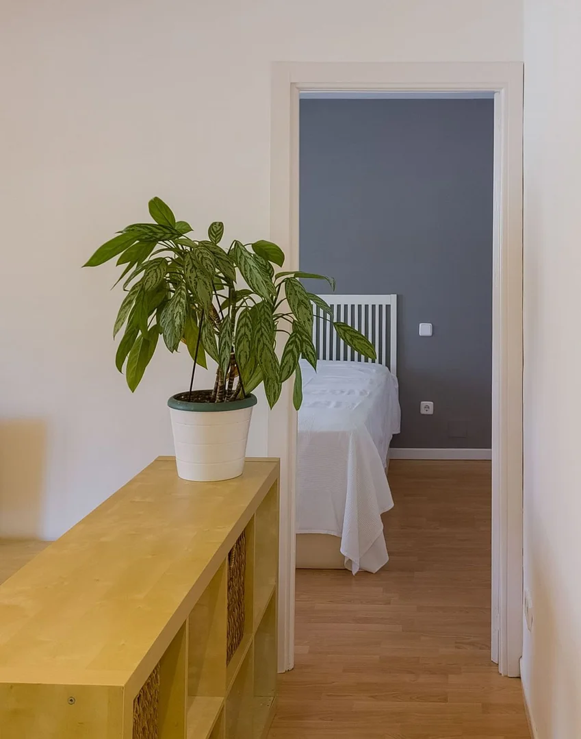 Piso en avenida de Pío XII, 94 - Foto 6