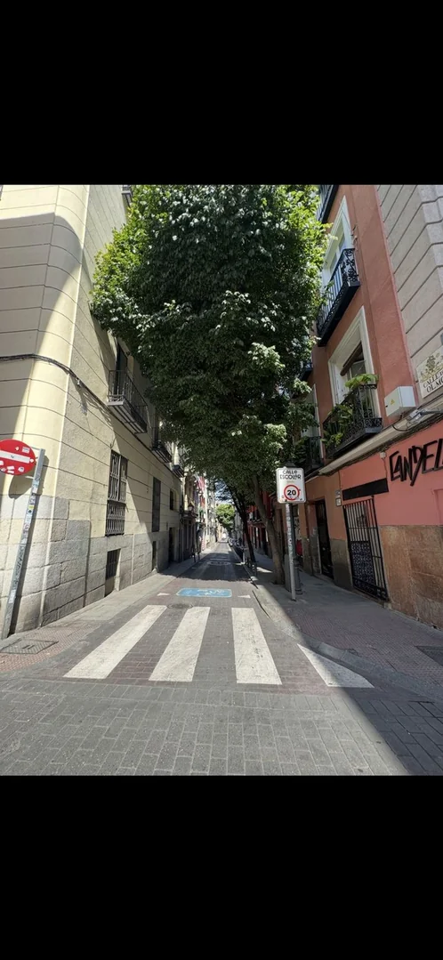 Piso en Calle del Olmo, 6, Lavapiés-Embajadores - Foto 21