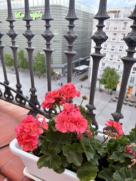 Ático en Avenida de Felipe II, 28 - Foto 6