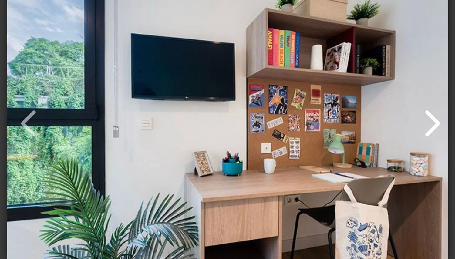 Estudio en Avenida del Paral·lel, 25 a 37, El Poble Sec - Parc de Montjuïc - Foto 7