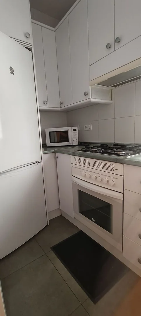Piso en Calle de Ponzano, 78, Nuevos Ministerios-Ríos Rosas - Foto 11