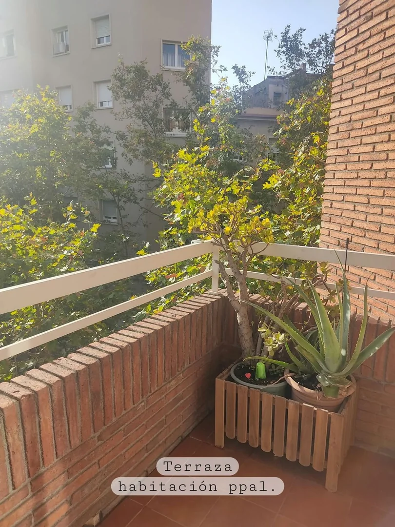 Piso en El Camp d'En Grassot i Gràcia Nova, El Camp d'En Grassot i Gràcia Nova - Foto 20