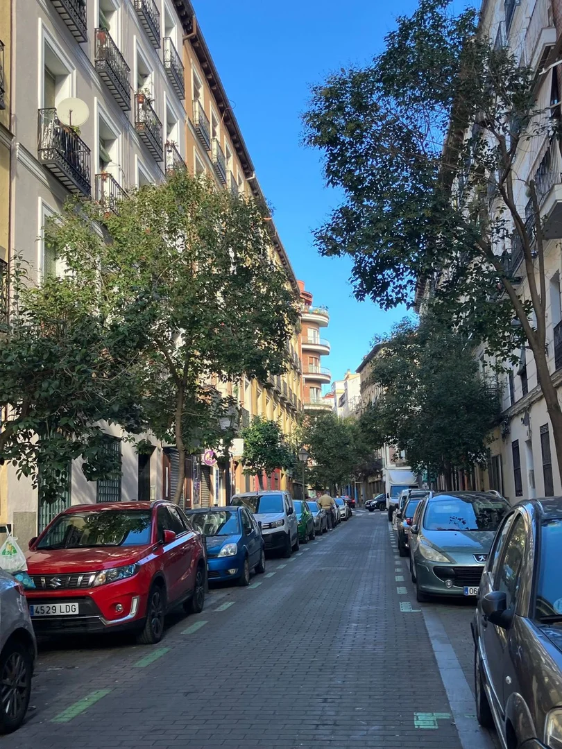 Piso en Barrio Lavapiés-Embajadores - Foto 23