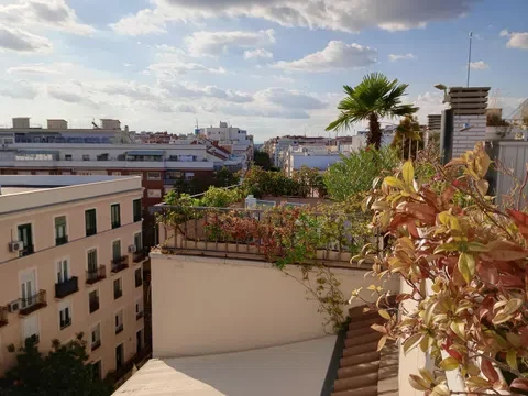 Ático en paseo Marqués de Zafra, 5 - Foto 7