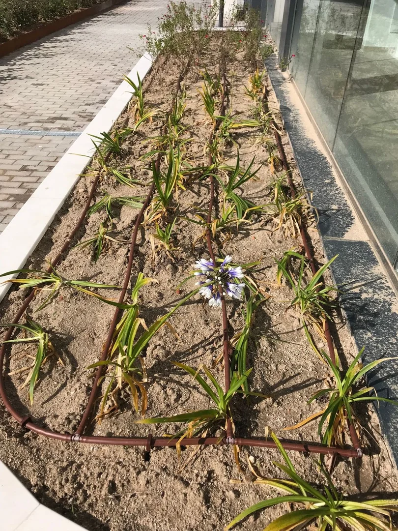 Piso en calle Ángel Martín Rodríguez, 1 - Foto 49