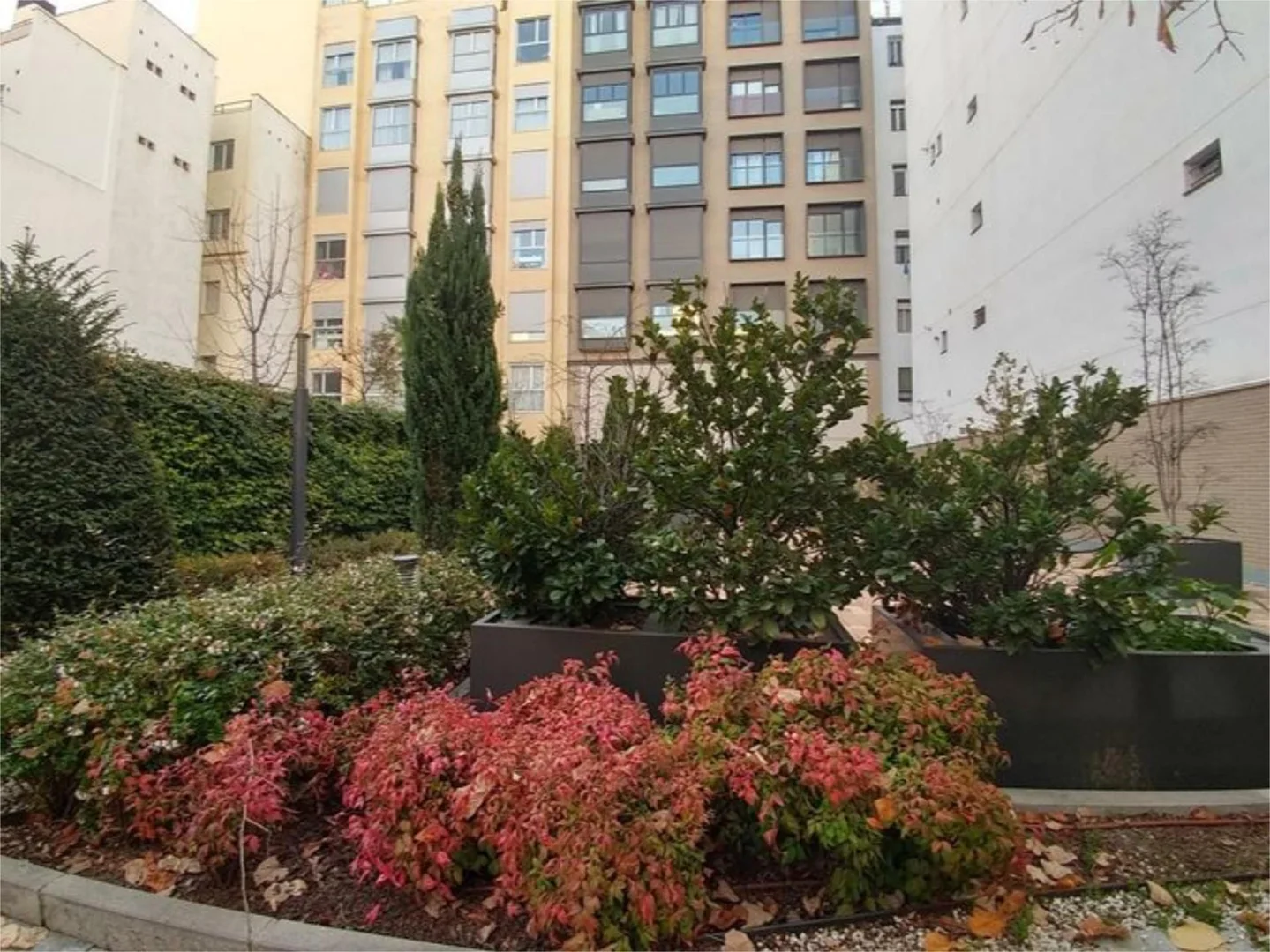 Piso en  Calle del Conde de Peñalver 26 - Foto 17