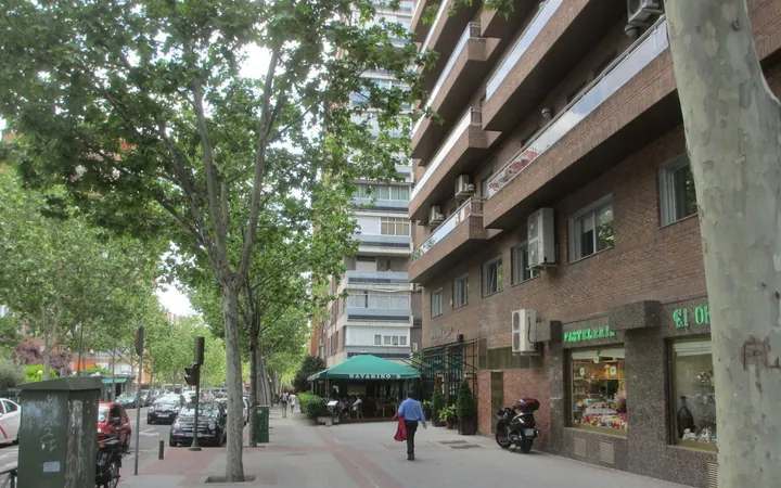 Piso en Calle de Luis de Salazar, 12, Prosperidad - Foto 29