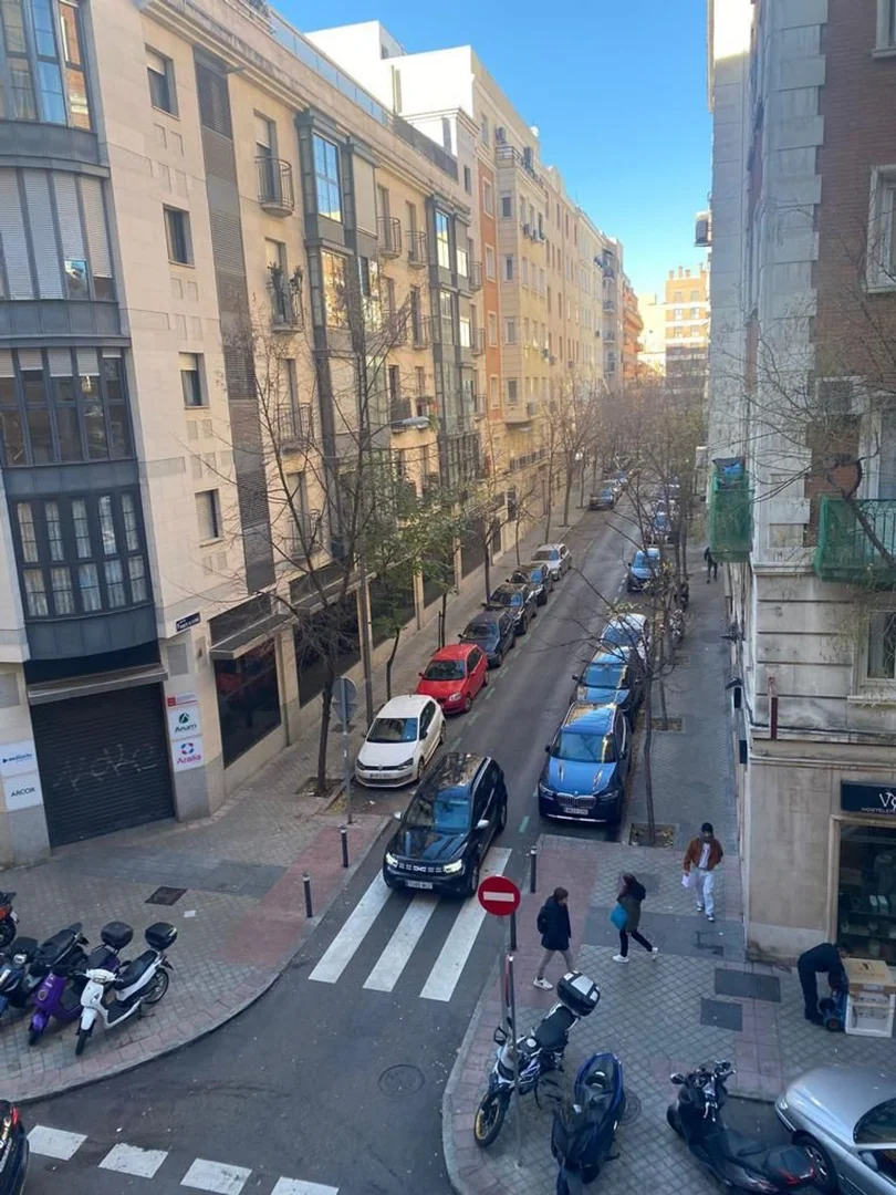 Piso en Calle Alcalá, 181, Goya - Foto 12