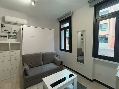 Estudio en calle de Sánchez Pacheco, 89 - Foto 1