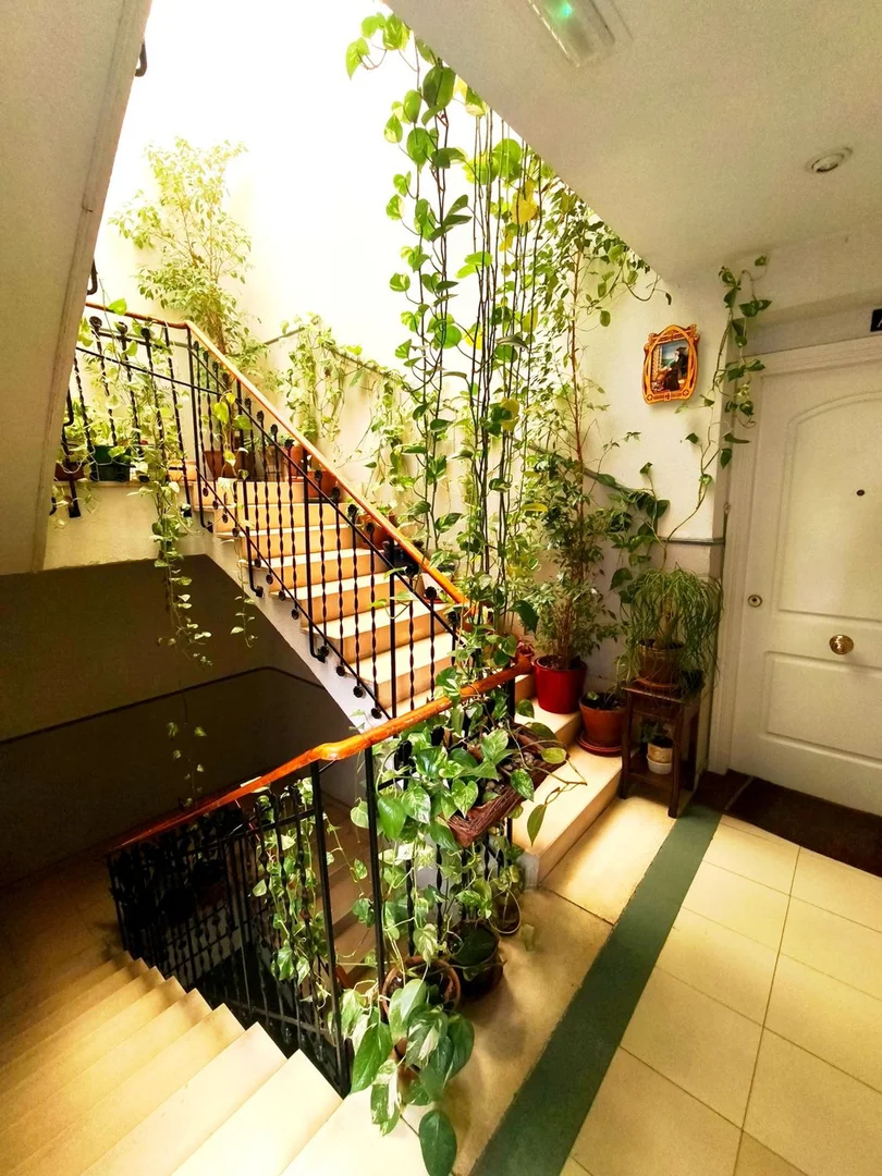 Piso en paseo del Rey, 18 - Foto 15