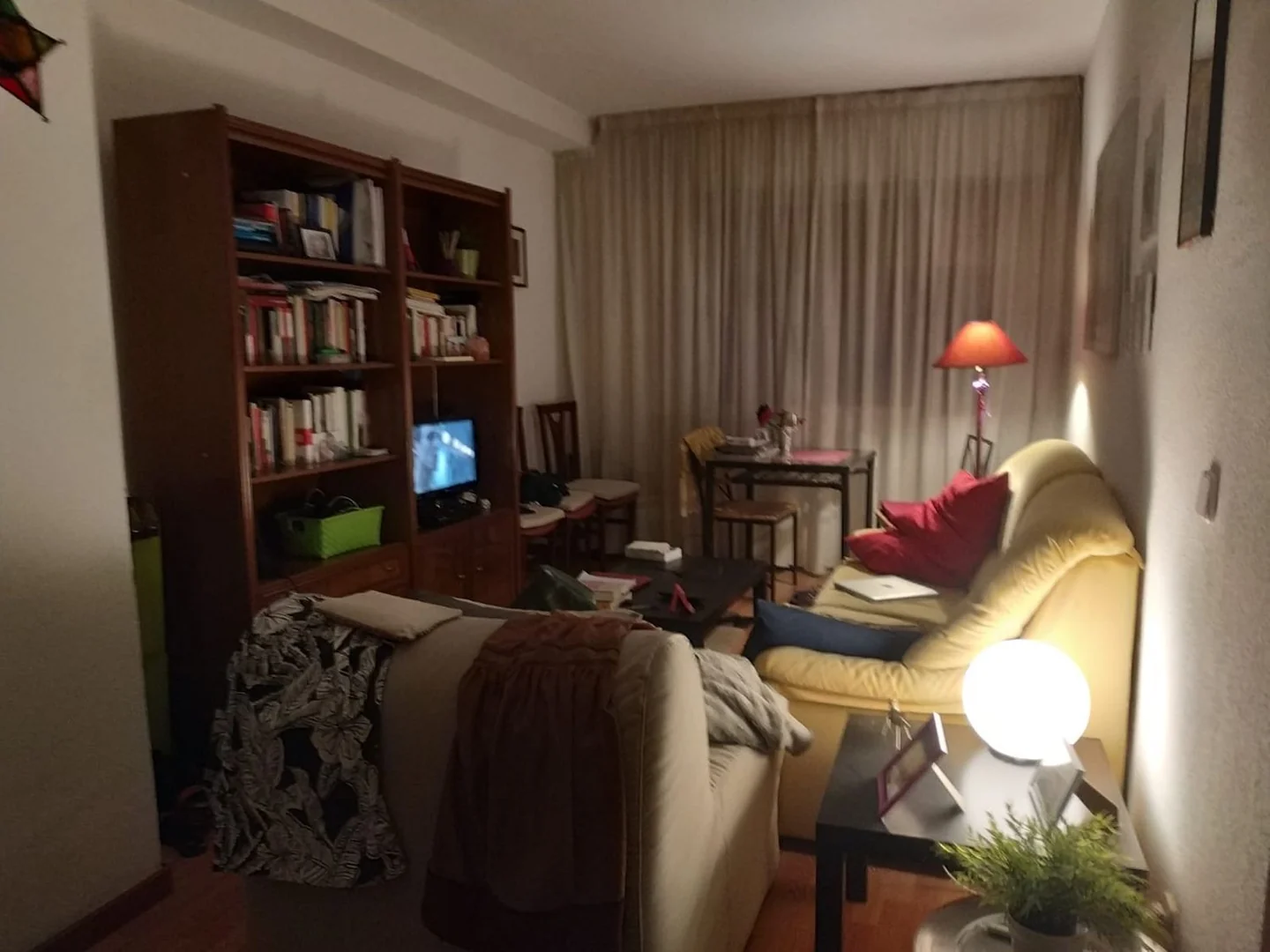 Estudio en Calle de Gonzalo de Córdoba, 17, Trafalgar - Foto 5