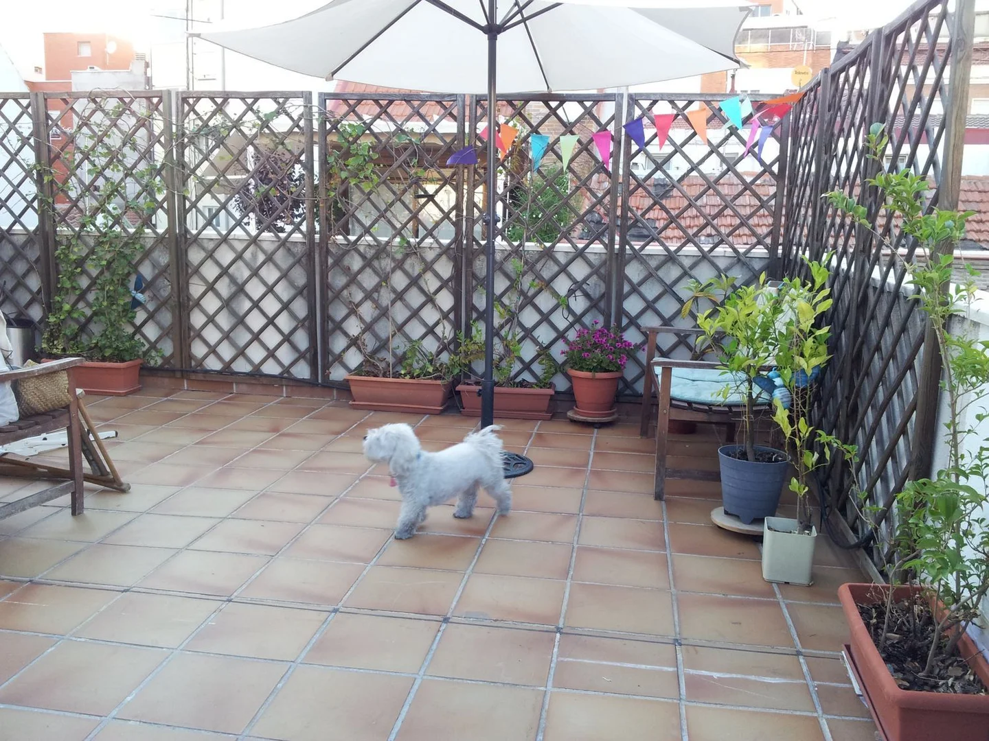 Ático en calle de la Granjilla, 7 - Foto 2