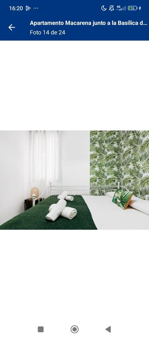 Estudio en calle de Finisterre, 42 - Foto 4