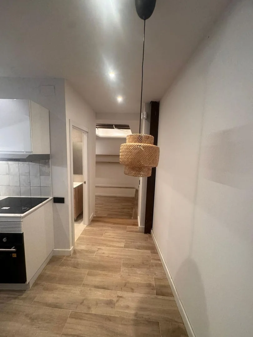 Estudio en Calle de l'Allada-Vermell, Sant Pere - Santa Caterina i la Ribera - Foto 4