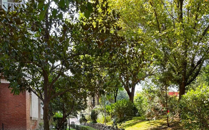 Piso en Calle del Cerro del Castañar, 163, Mirasierra - Foto 7