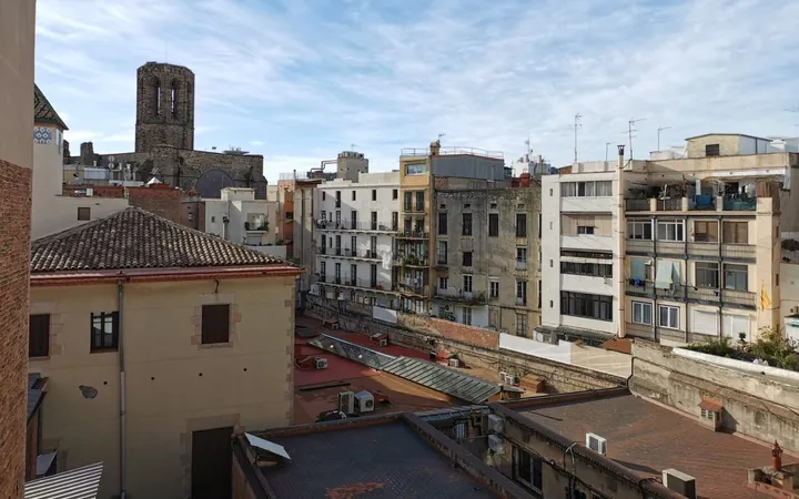 Piso en Calle de la Portaferrissa, 26, El Gòtic - Foto 13