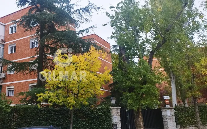 Bajo en Mirasierra, Madrid - Foto 1
